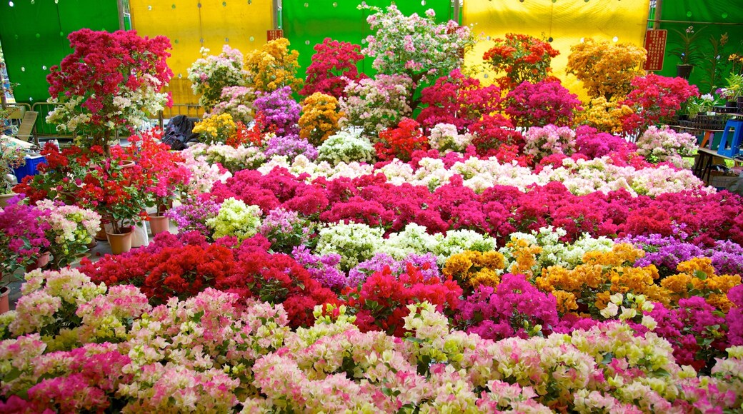 Jianguo Flower and Jade Market which includes flowers