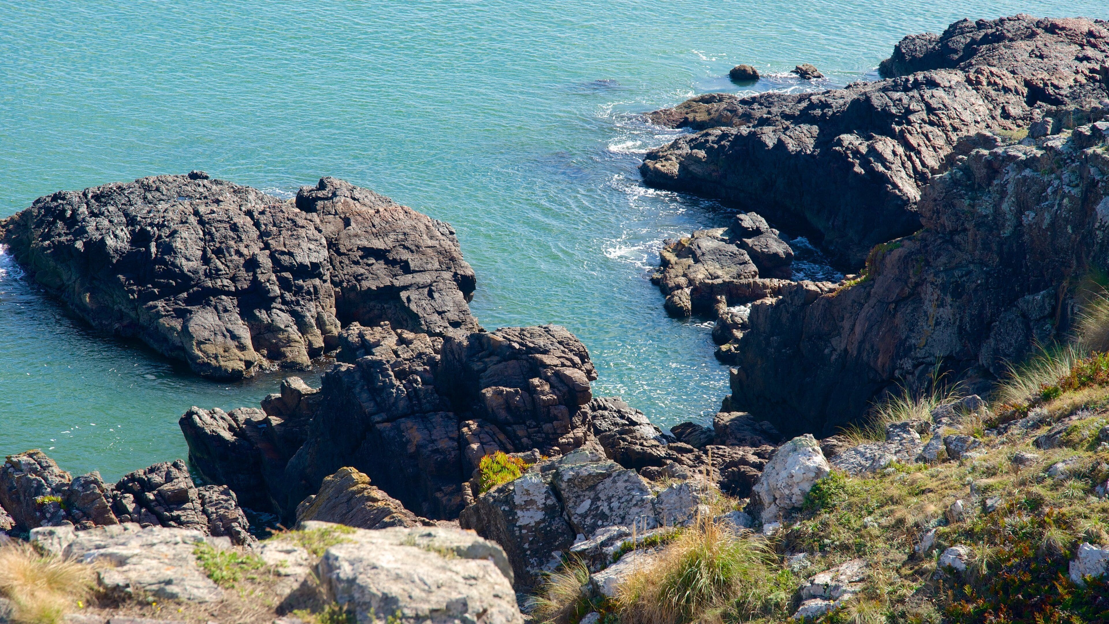 Casapueblo Museum featuring rugged coastline