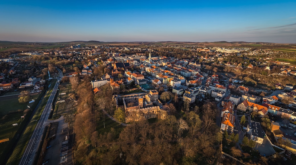 An aerial view of a town with a prominent castle, a main road, and surrounding fields.