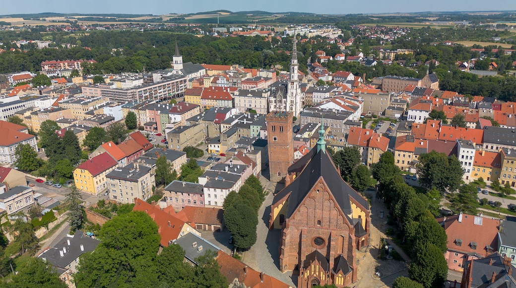 A cityscape with a prominent church featuring a tall spire and a clock tower, surrounded by residential buildings and greenery.