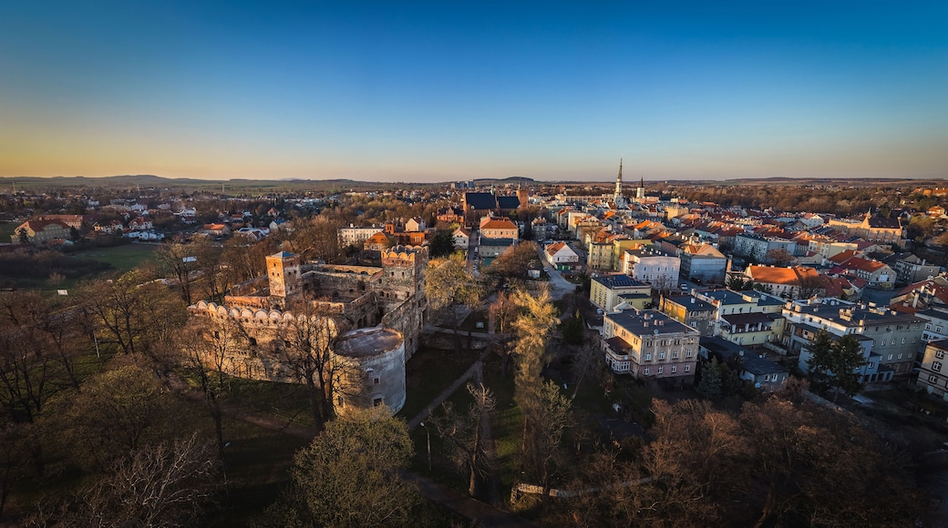 A panoramic view of a historic town with a prominent church tower, surrounded by a mix of traditional and modern buildings, and a castle in the foreground.