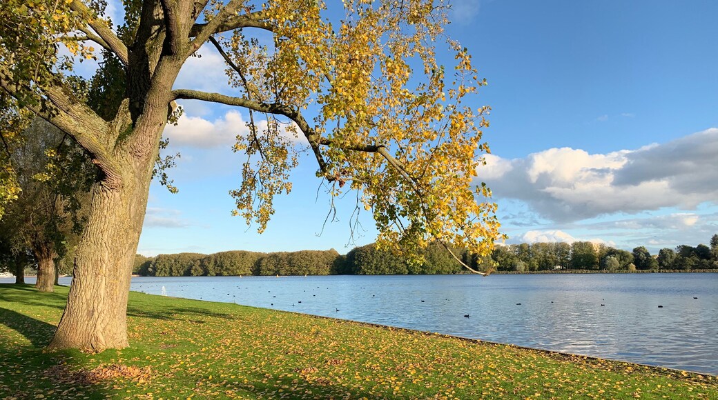 Autumn Lake in Sloterpark, Amsterdam