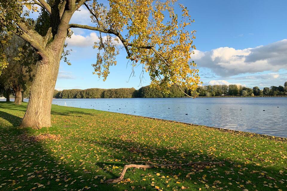 A lake with a tree-covered grassy bank, a clear sky, and distant hills.