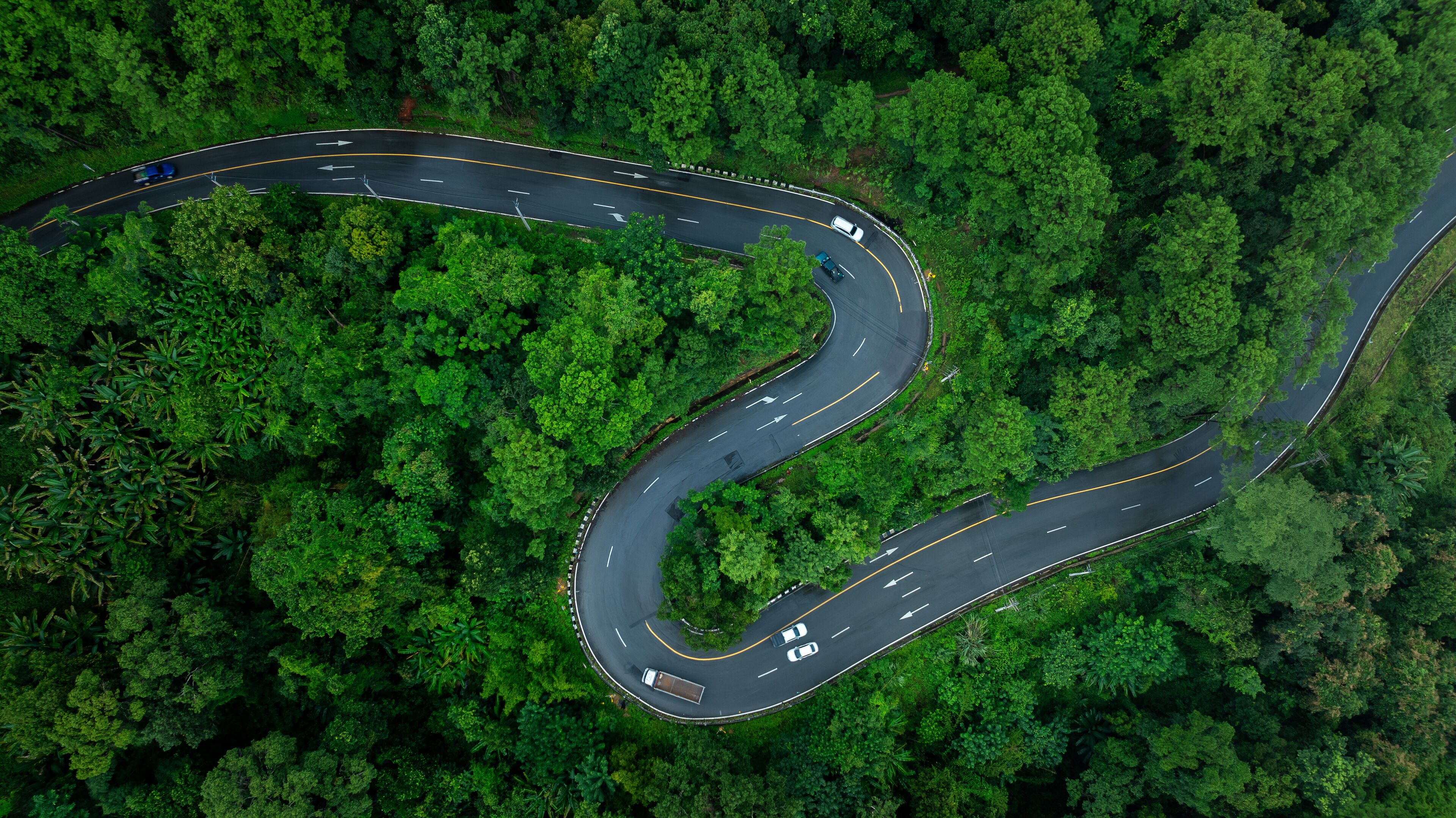 An aerial view of a winding road through a dense forest.