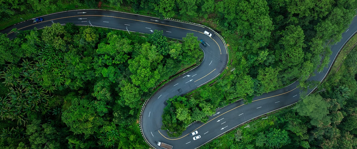 An aerial view of a winding road through a dense forest.