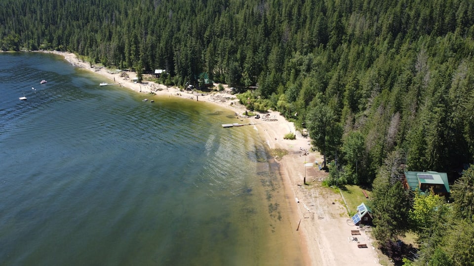 An aerial view of a beach with a forested area, a small dock, and a house with solar panels.
