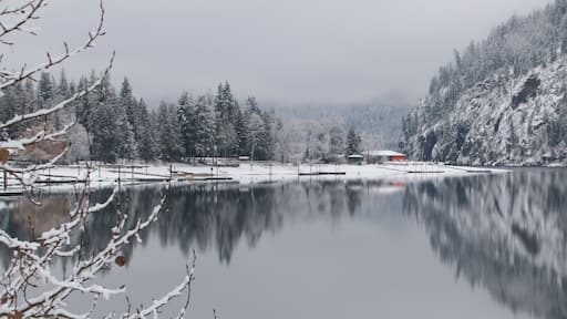 As we drove by, the serene lakescape called. Although pressed for time, we stopped and admired the beauty of the still waters and the quiet of the snowladen trees.
