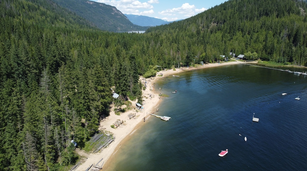 Drone Shot of Mara Lake, British Columbia, Canada