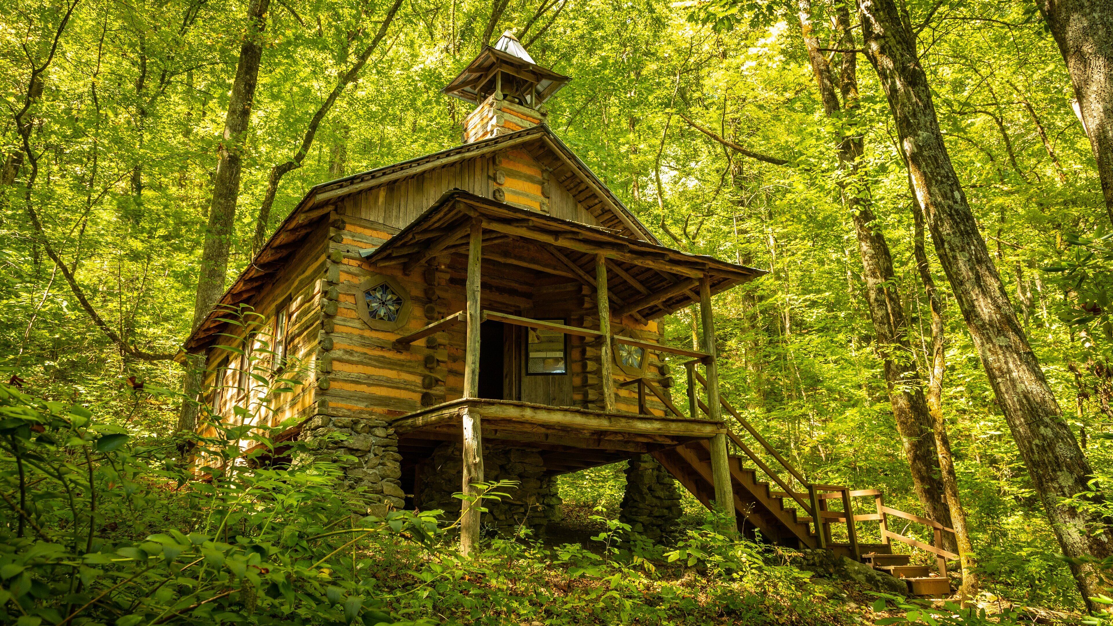 Foxfire Museum featuring a house and forests