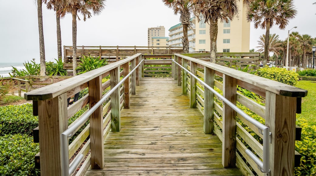 Birthplace of Speed Park showing a garden