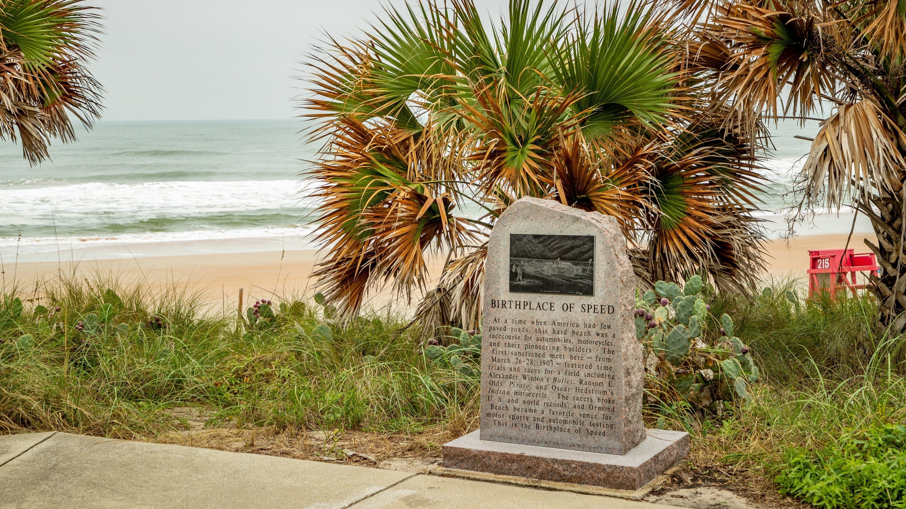 Birthplace of Speed Park showing signage, general coastal views and a memorial