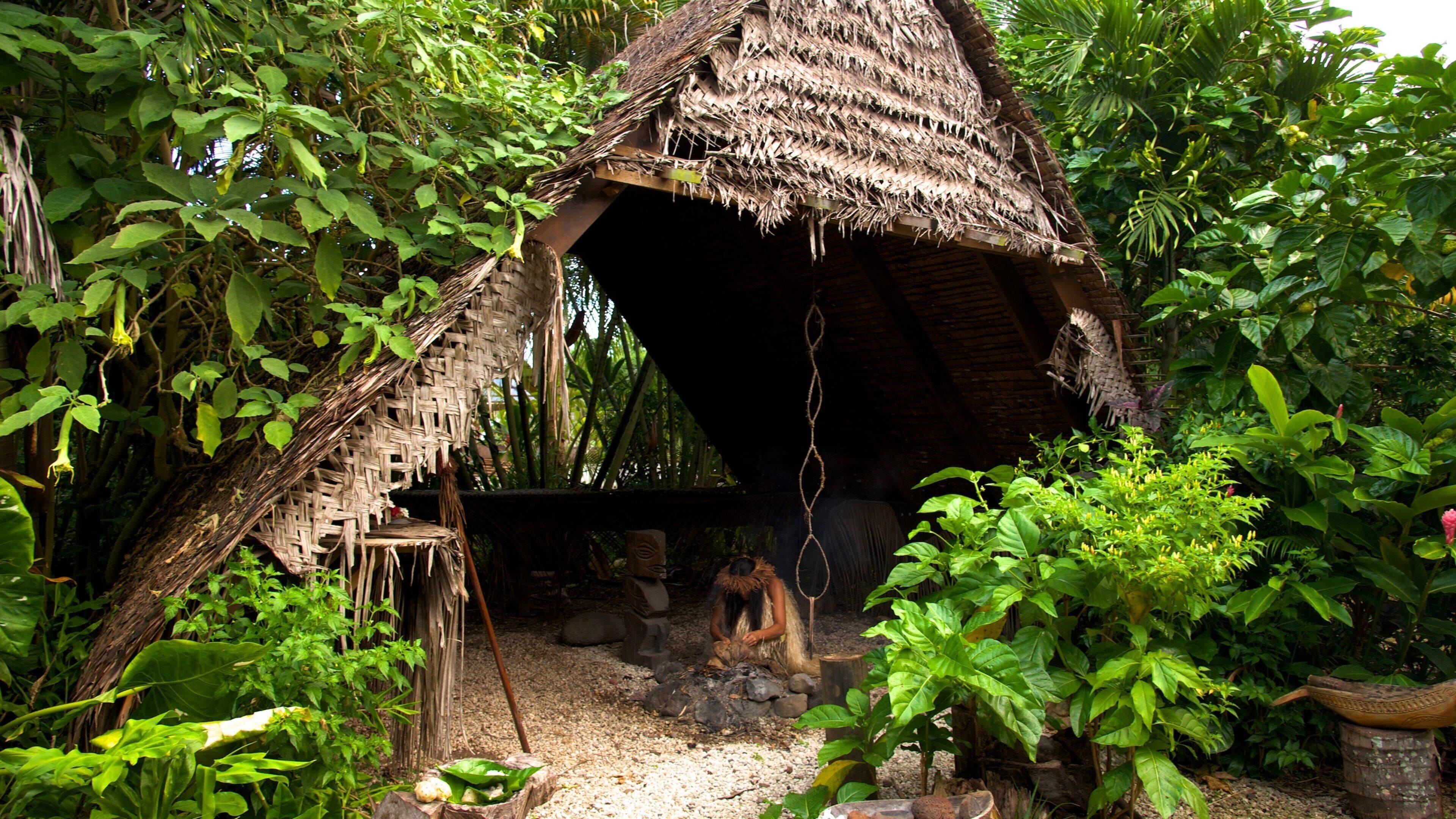 Te Vara Nui Village which includes indigenous culture