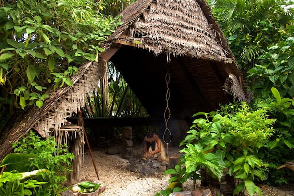 Te Vara Nui Village featuring indigenous culture