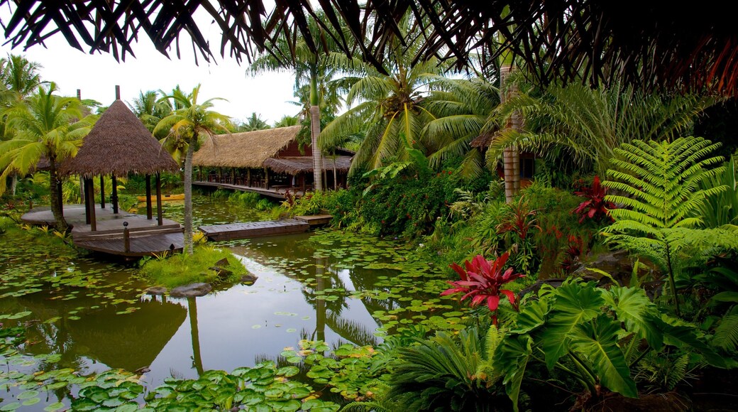 Te Vara Nui Village showing a small town or village and a pond