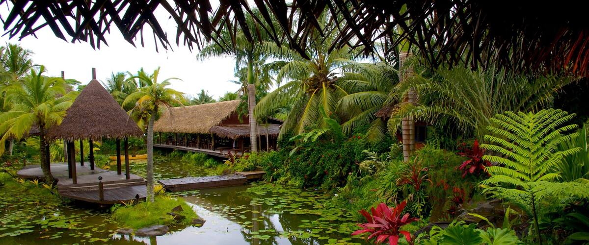 Te Vara Nui Village showing a small town or village and a pond