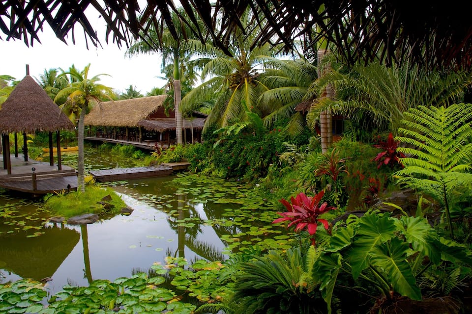 A tropical garden with a pond, palm trees, a thatched-roof structure, and lush greenery.