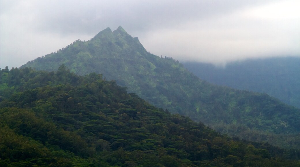 Hanalei Valley Lookout som viser landskap, rolig landskap og tåke