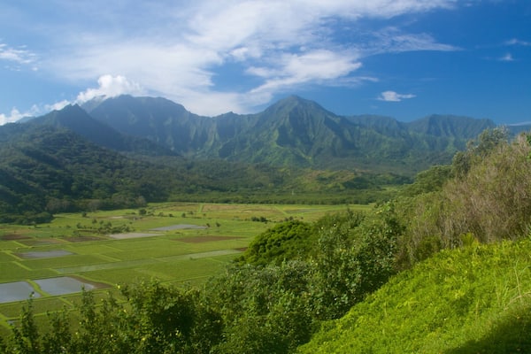 Hanalei Valley Lookout showing mountains and tranquil scenes