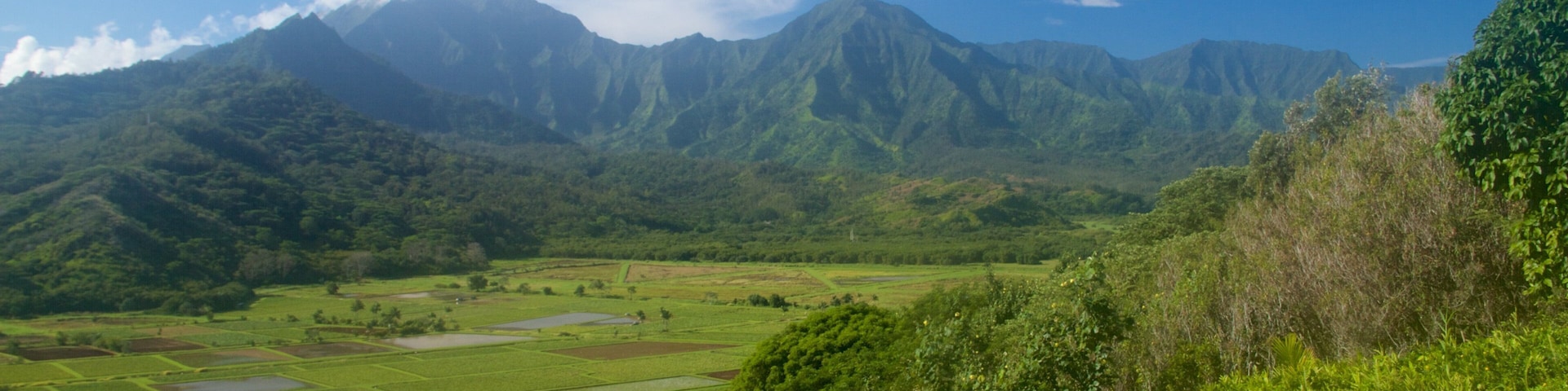 Hanalei Valley Lookout showing mountains and tranquil scenes