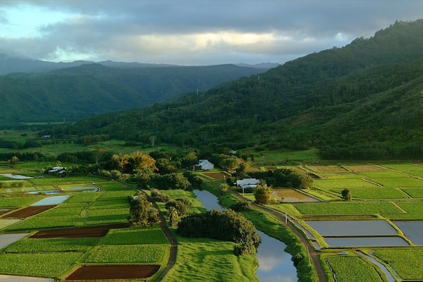 Hanalei Valley Lookout johon kuuluu maisemat, vuoret ja joki tai puro