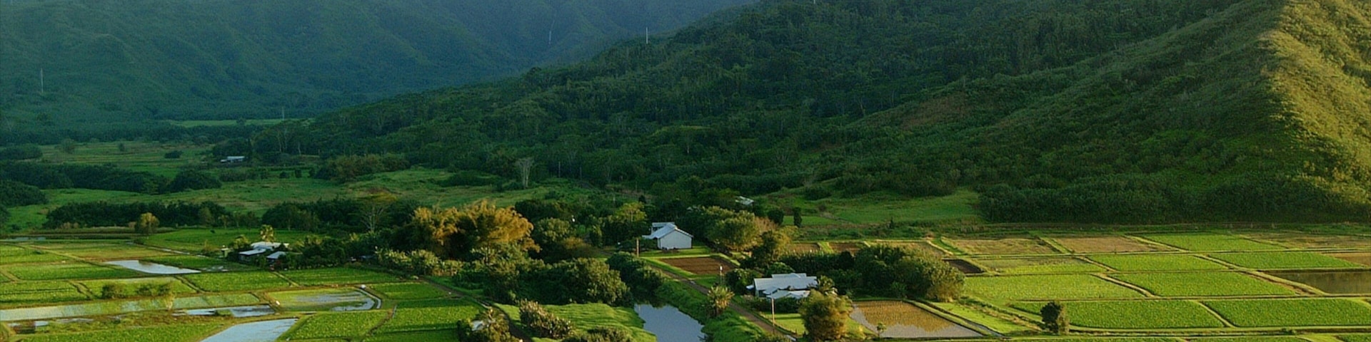 Mirante de Hanalei Valley caracterizando paisagem, montanhas e fazenda