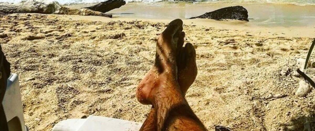 #wildlife