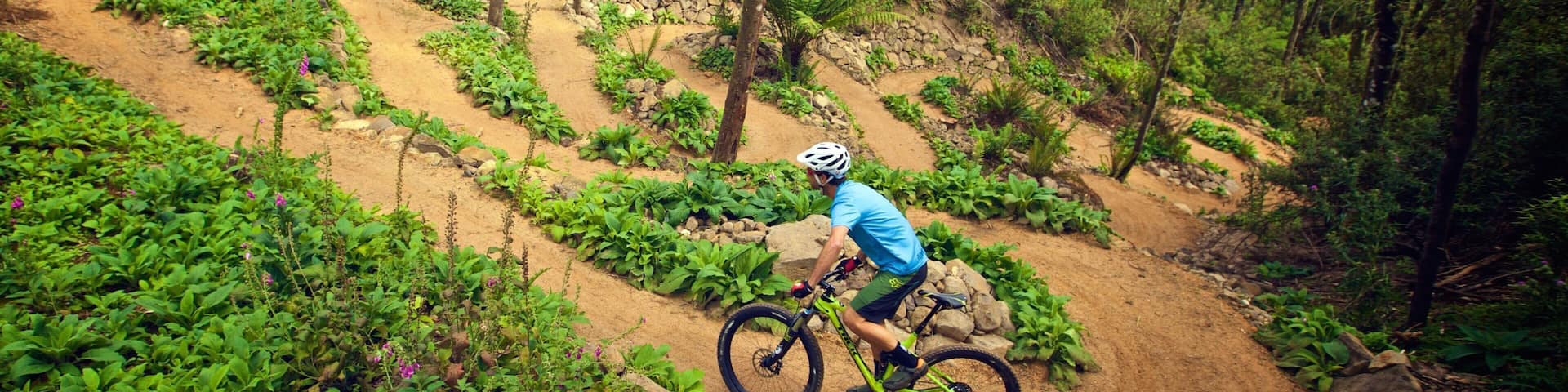 Derby which includes mountain biking and forest scenes as well as an individual male