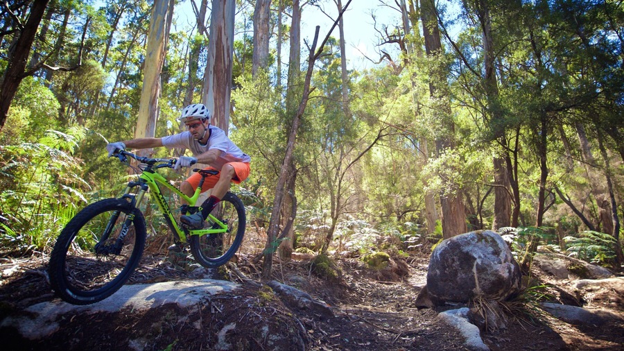 Derby featuring forests and mountain biking as well as an individual male