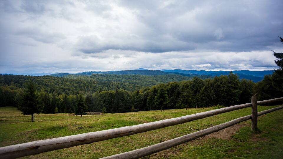 A grassy field with a wooden fence, dense forest, and distant mountains under a cloudy sky.