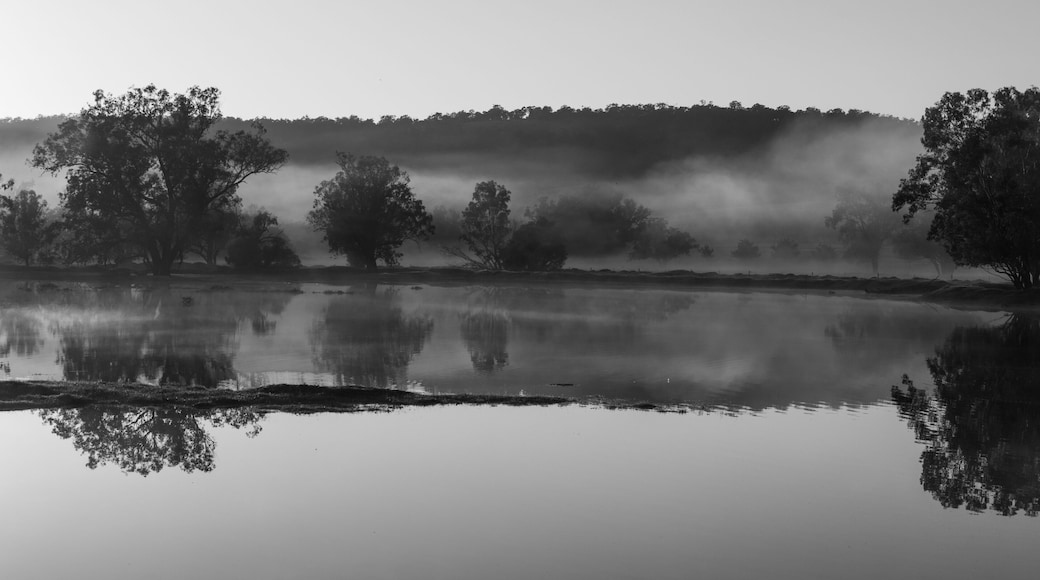 Early misty sunrise with reflecting trees in lake after heavy rain in the Chittering Valley, Western Australia