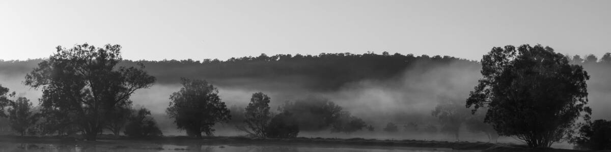 Early misty sunrise with reflecting trees in lake after heavy rain in the Chittering Valley, Western Australia
