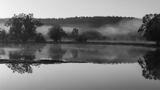 Early misty sunrise with reflecting trees in lake after heavy rain in the Chittering Valley, Western Australia