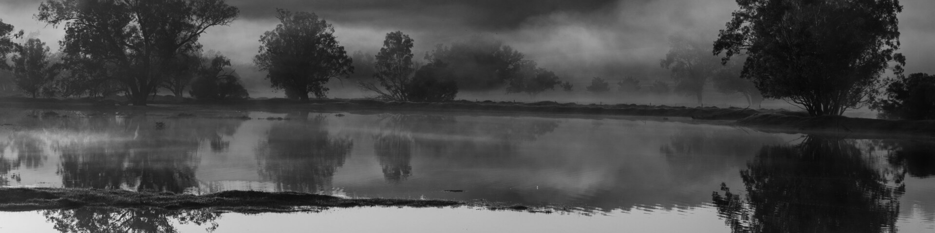 Early misty sunrise with reflecting trees in lake after heavy rain in the Chittering Valley, Western Australia