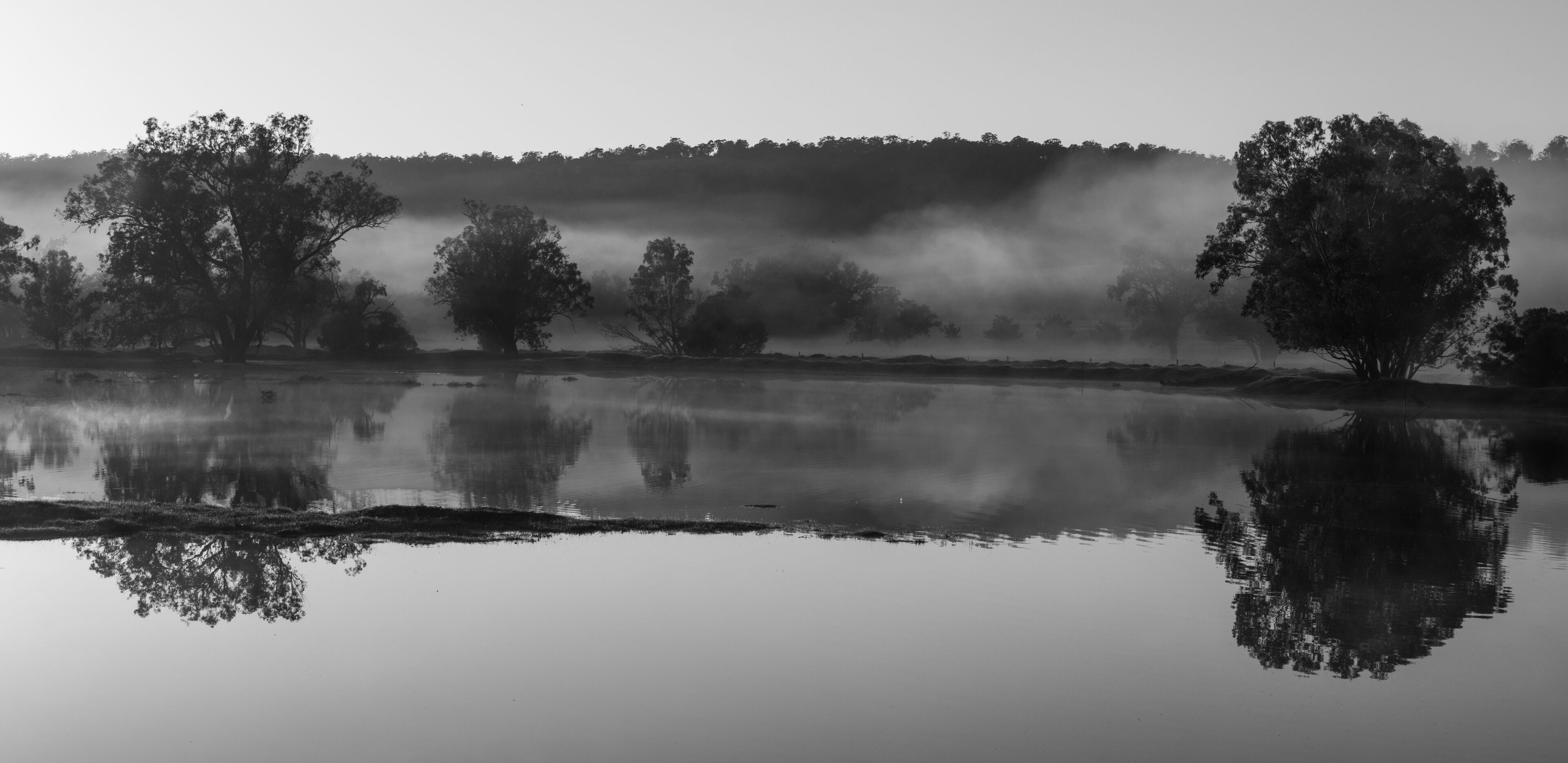 A calm lake with trees reflecting on the water, surrounded by a misty forest.