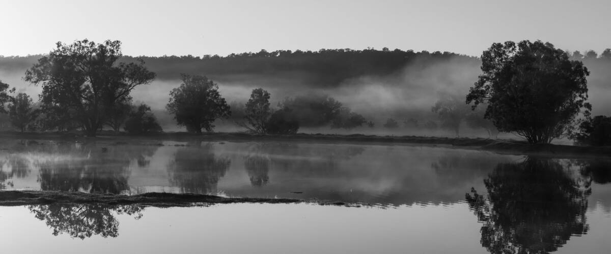 A calm lake with trees reflecting on the water, surrounded by a misty forest.