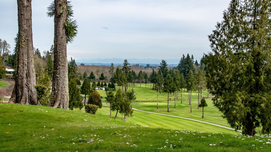 Green Hills & Forest in Oregon Near Portland