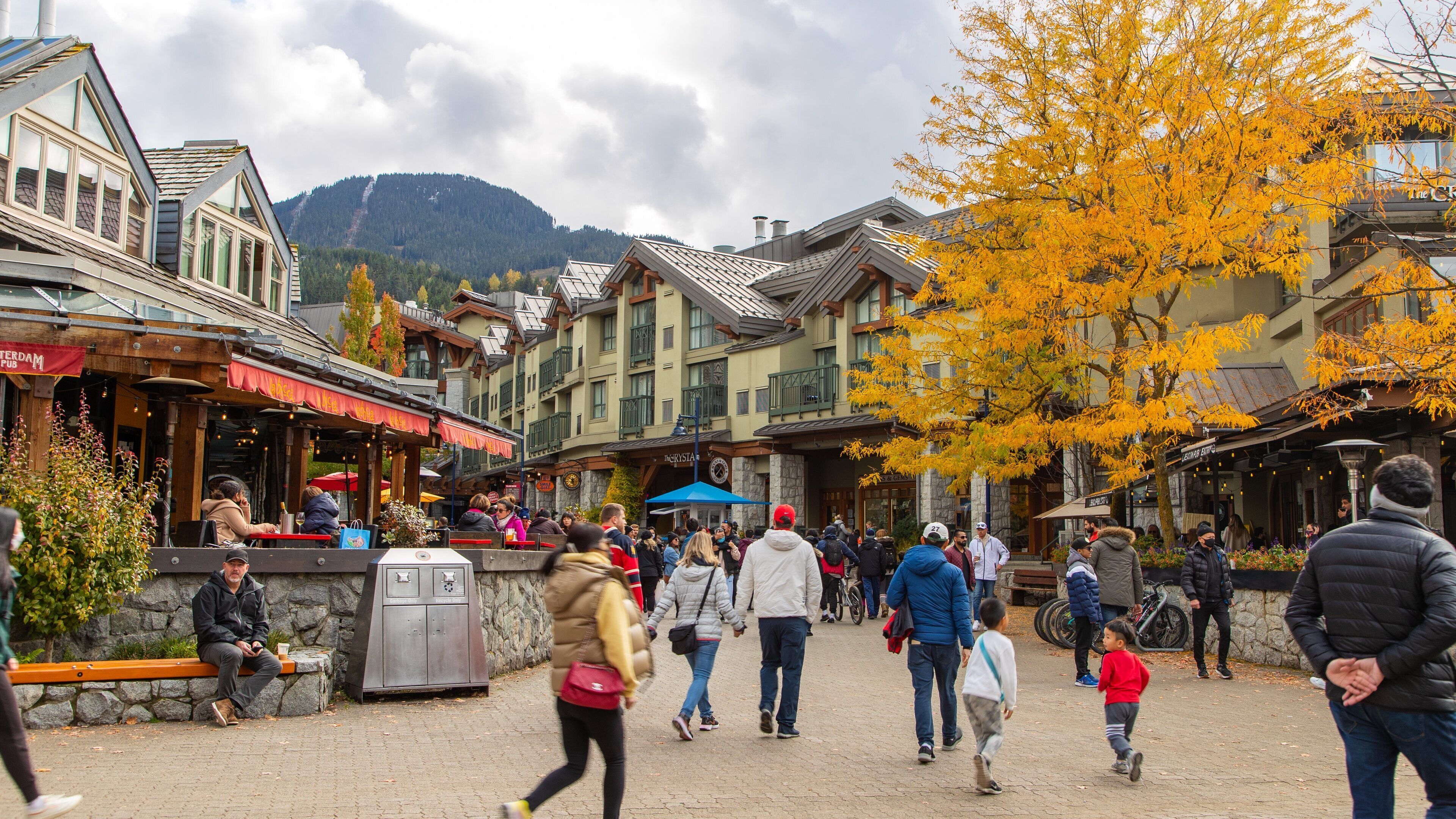 Whistler Visitor Centre showing a small town or village and street scenes