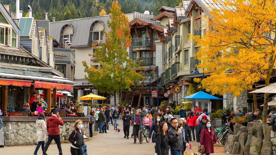Whistler Visitor Centre which includes street scenes