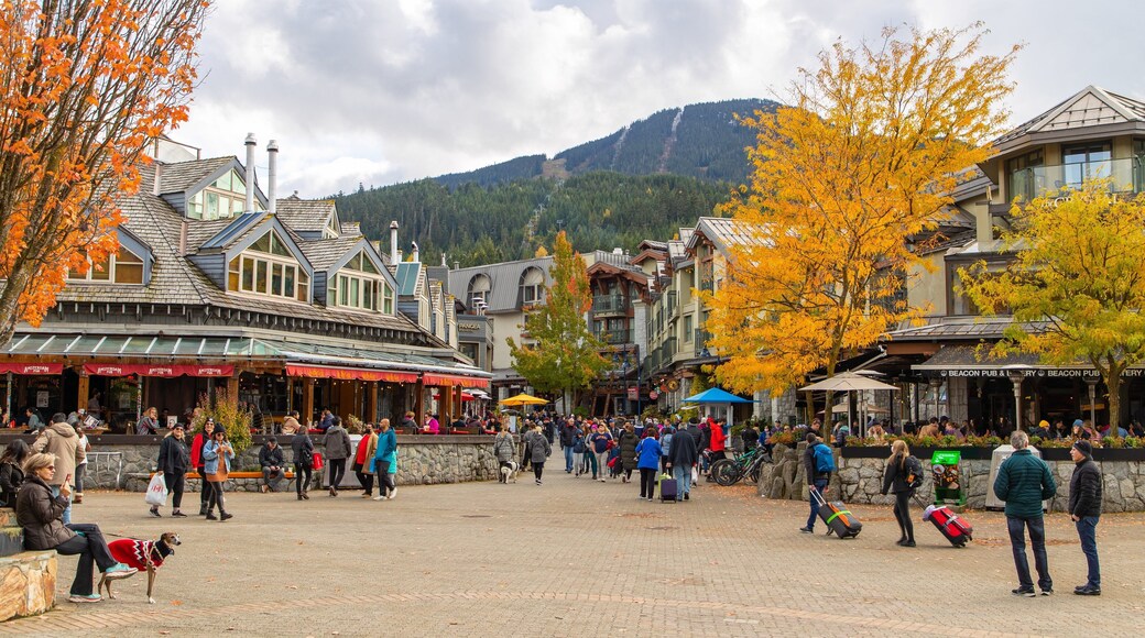 Whistler Visitor Centre which includes street scenes and a square or plaza