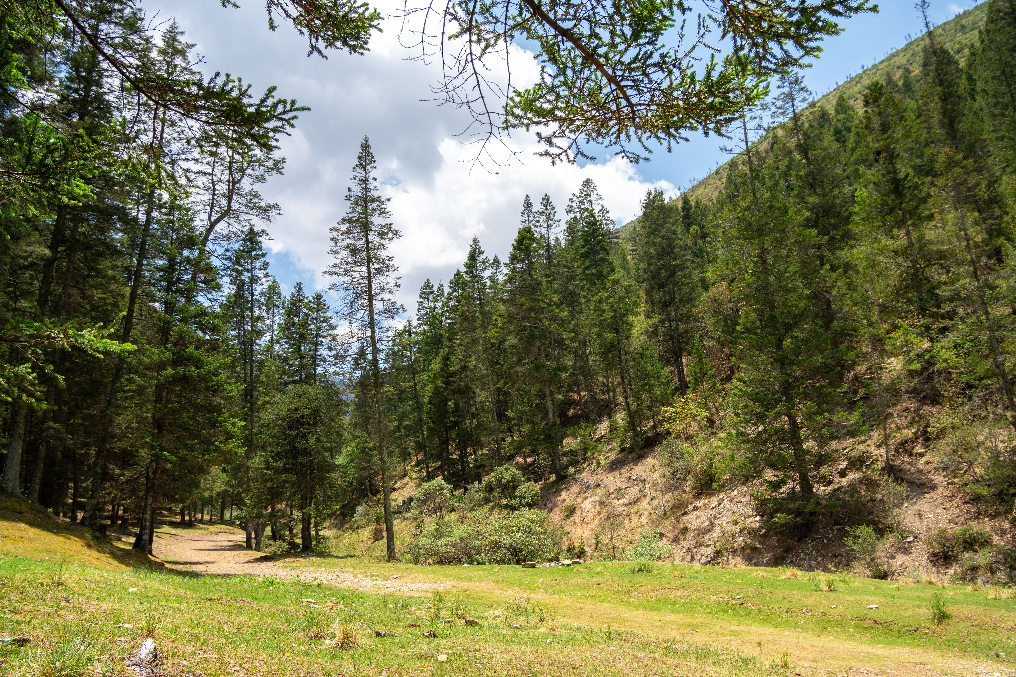 San Antonio de las Alazanas