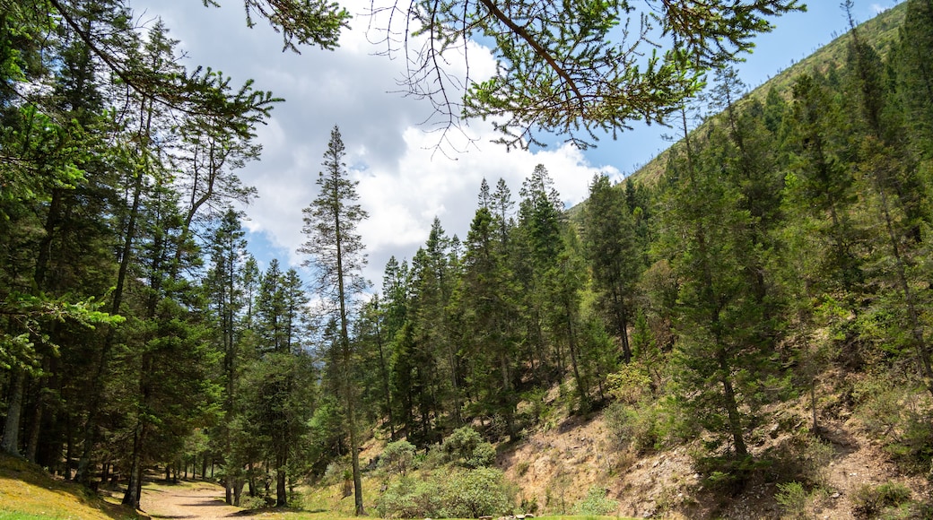 San Antonio de las Alazanas