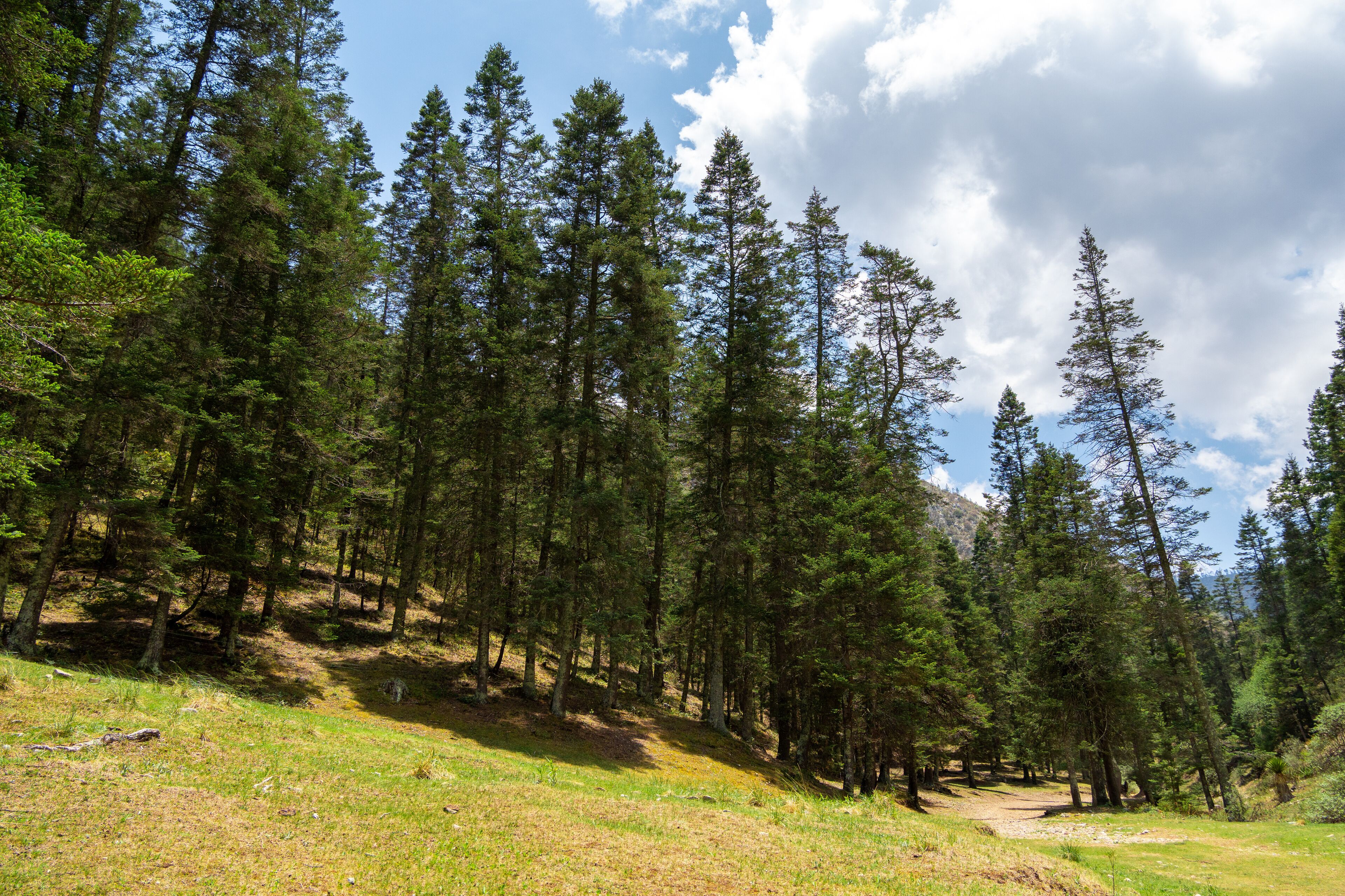 San Antonio de las Alazanas