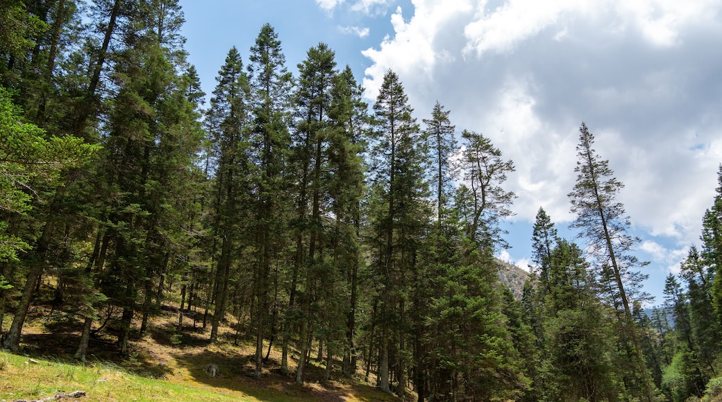 San Antonio de las Alazanas