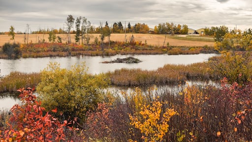 ๋ธ๋ํด์ฆ