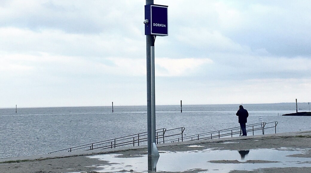 For 46 years this huge ball on the beach has helped kids find their parents on a crowded day.
