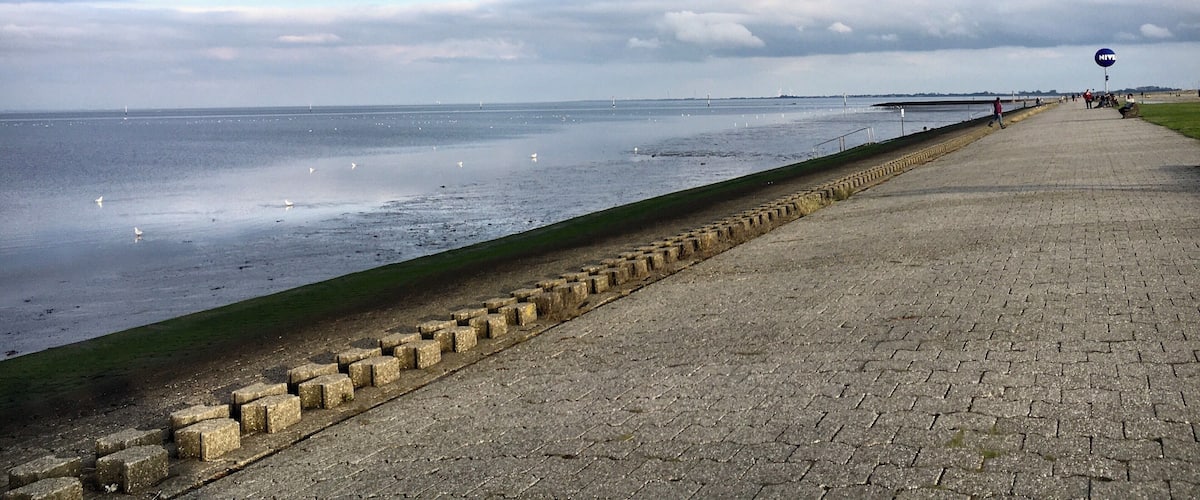 A coastal walkway with a stone barrier, a grassy area, and a body of water with sailboats.