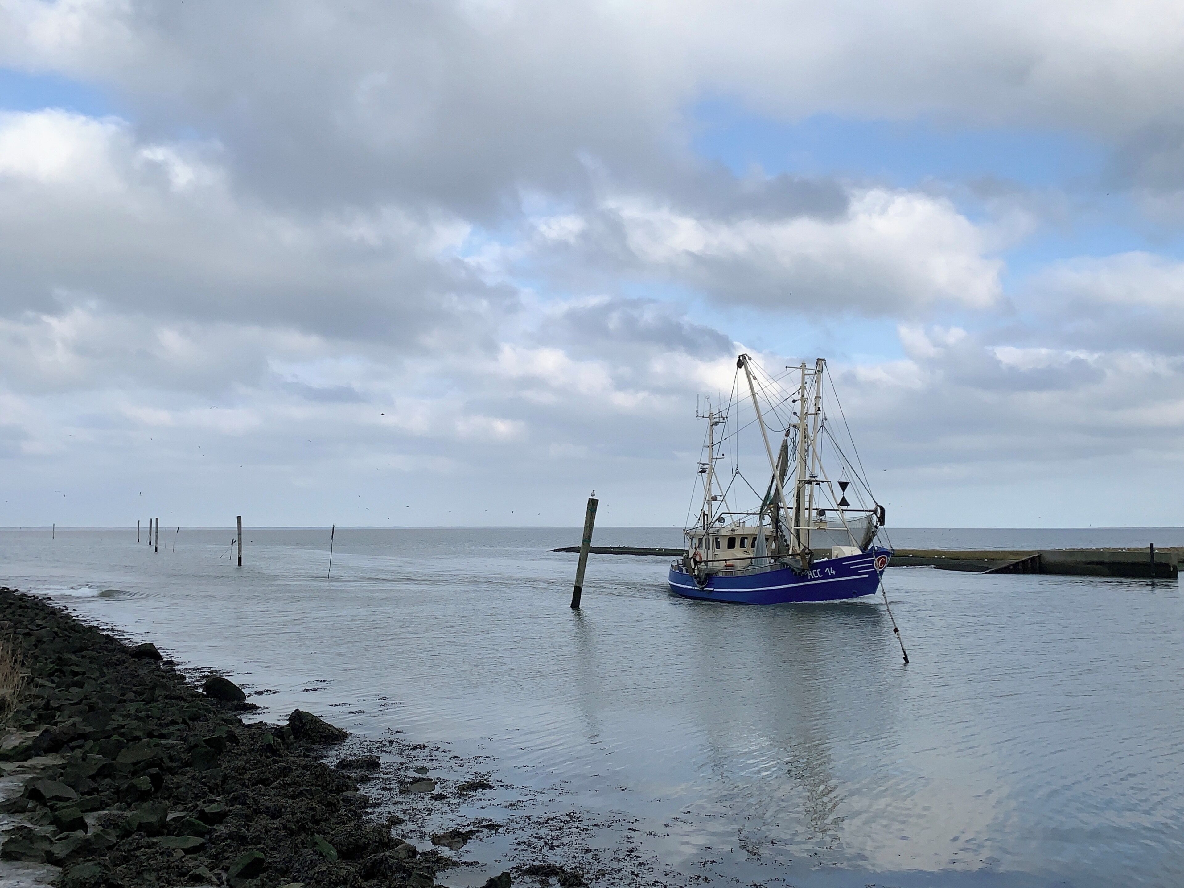 Coming back home from work