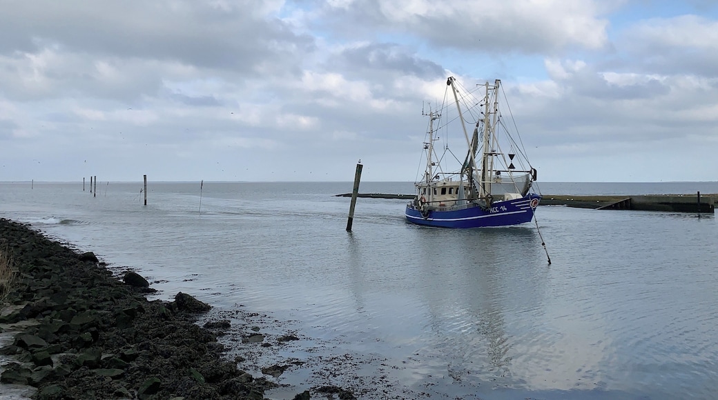 Coming back home from work