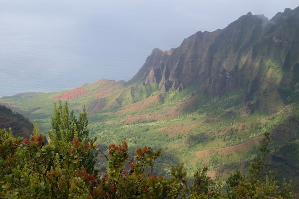 Pu\'u O Kila Lookout showing landscape views and a gorge or canyon