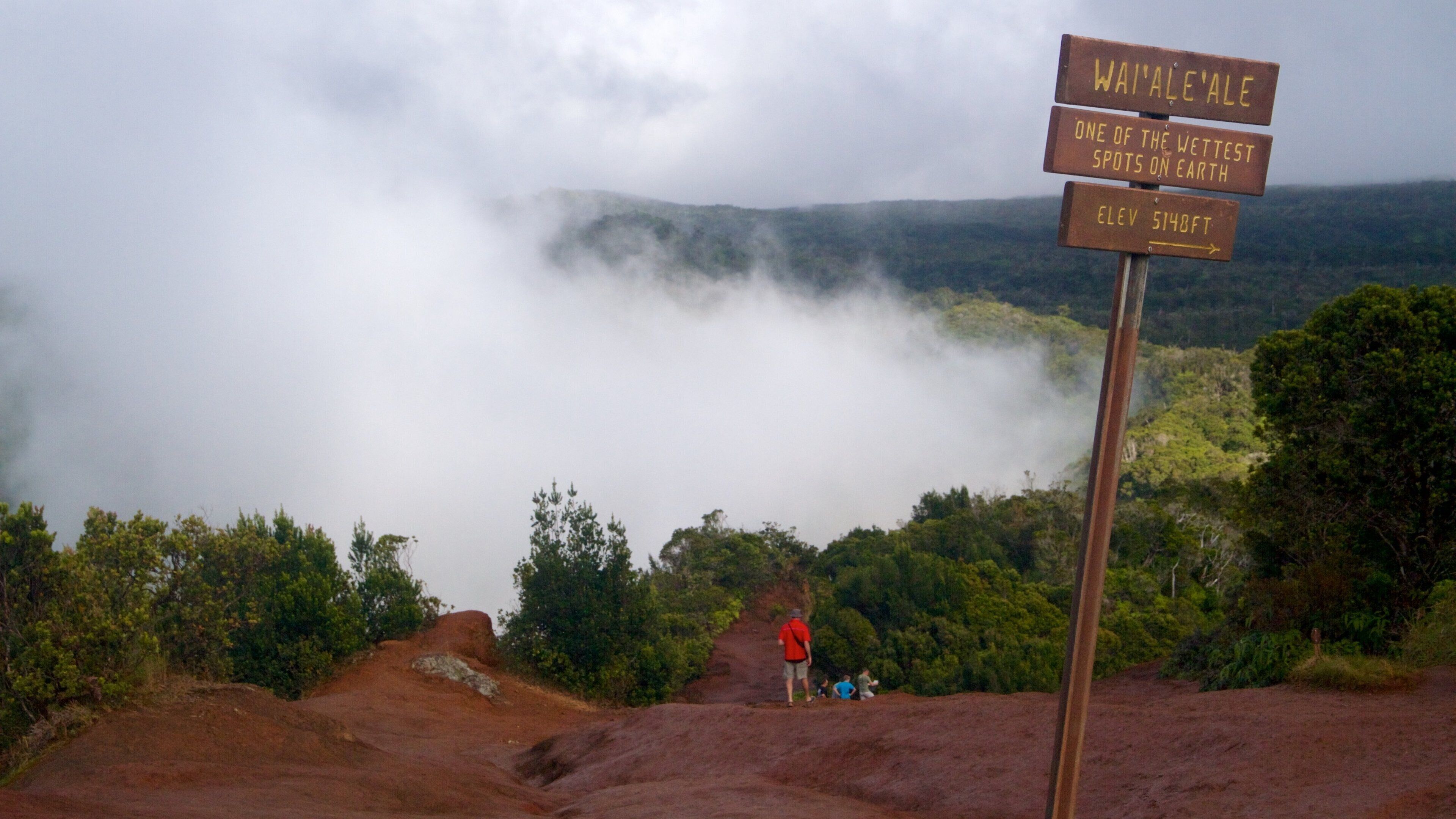 Pu\'u O Kila Lookout แสดง หมอก, ป่า และ ป้าย